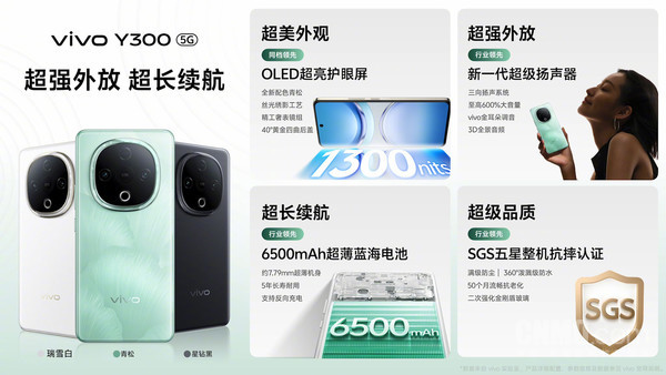 vivo Y300